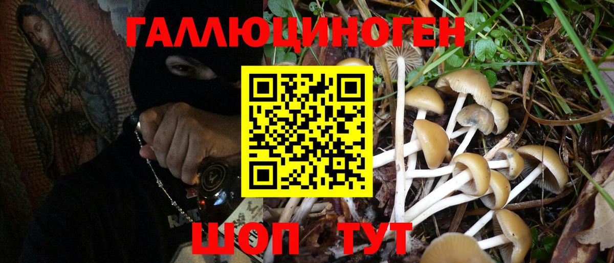 Галлюциногенные грибы Psilocybe Ливны