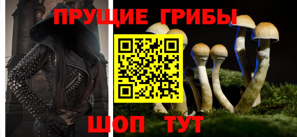 Ливны  Псилоцибиновые грибы Psilocybe  Вход с VPN  Псилоцибиновые грибы GOLDEN TEACHER 
